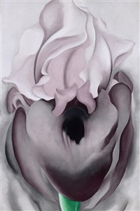 Black Iris VI, 1936